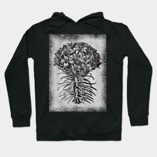 Lily Botanical In Black And White Hoodie